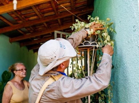 Com 7,5 mil notificações, Campo Grande faz nova etapa contra dengue
