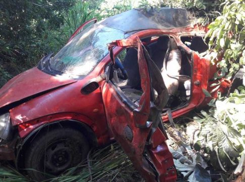 Motorista embriagado bate em galhos de árvores e morre às margens de rodovia