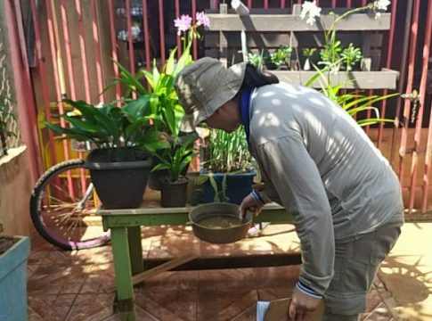Com quase 6 mil casos, Campo Grande declara emergência por epidemia de dengue