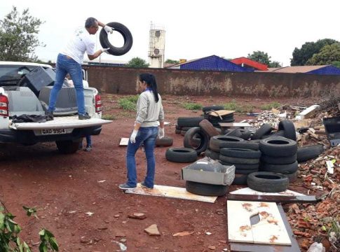 Com 4 mortes por dengue, Capital cria força-tarefa com universidades e Fiocruz
