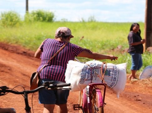 Saiba como fazer doações para comunidades indígenas de MS durante a pandemia