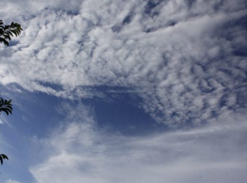 Tempo claro e temperaturas agradáveis em Mato Grosso do Sul
