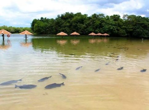 Pesquisa vai levantar os impactos financeiros no turismo de MS