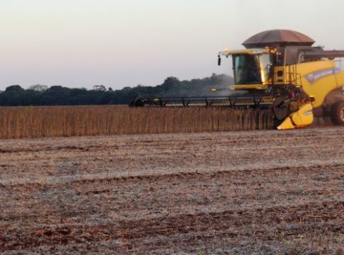 Sanção da MP do Agro abre caminho para cooperativas operarem recursos do FCO