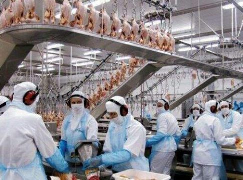 Falta de EPI e até coação para ignorar covid-19 provocou 130 denúncias em um mês