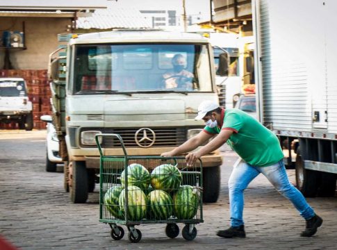 Ceasa já desinfetou 110 carretas para evitar coronavírus “importado” de SP