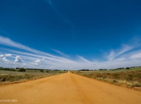 Meteorologia prevê tempo firme e baixa umidade do ar para esta terça-feira