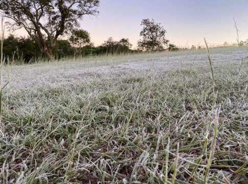 Frio provoca geada em 7 cidades e madrugada com sensação de -4ºC