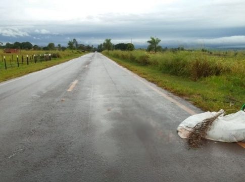 Caminhoneiro atropela e passa por cima de ciclista que morre em rodovia