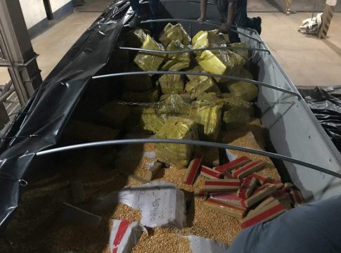 Justiça manda destruir maconha da maior apreensão do País e decreta preventiva