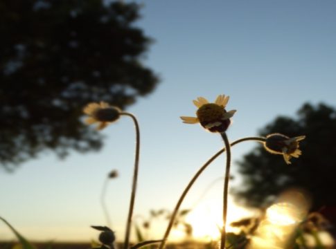 Nova frente fria muda clima a partir desta quinta-feira em Mato Grosso do Sul