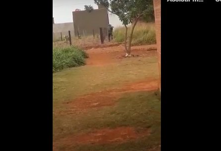 policiais paraguaios disparam contra brasileiro que furou fronteira fechada em MS