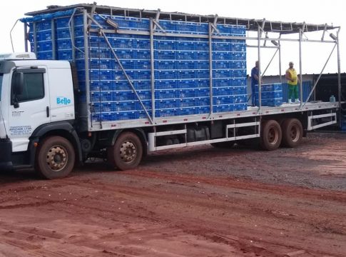 Em Japorã Granja Salvadori entrega primeira carga para a Bello Alimentos
