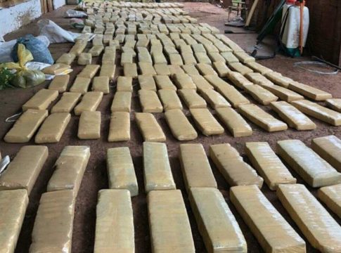 Agência antidrogas apreende 1.280 kg de maconha em sítio na fronteira