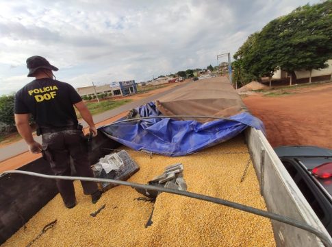 DOF faz segunda maior apreensão de maconha da história em Mato Grosso do Sul