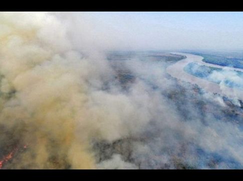 Governo quer Forças Armadas de combate a incêndios