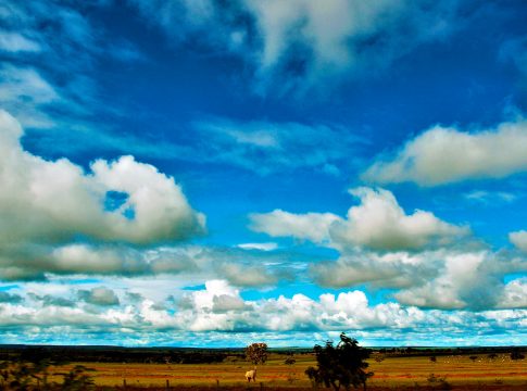 Quinta-feira de tempo firme e temperaturas em queda no Mato Grosso do Sul