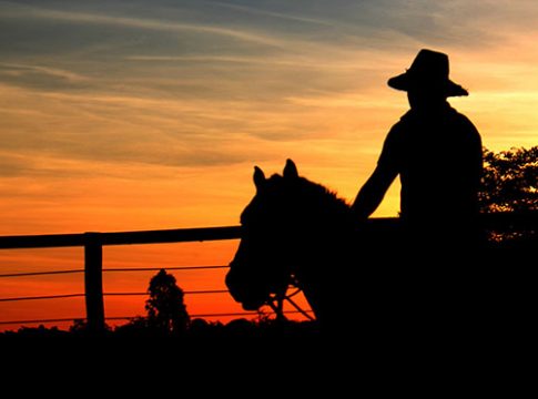 Quinta-feira de céu claro, tempo seco e máxima de 36°C