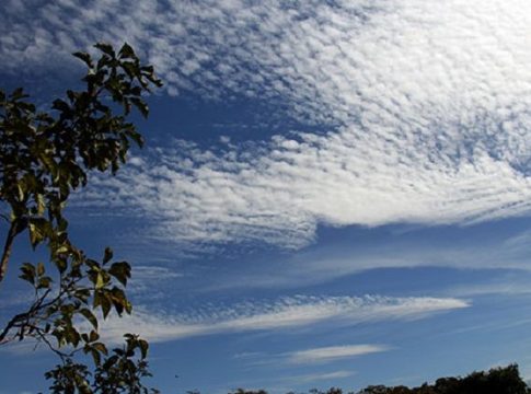 Quinta-feira de calor e umidade em estado de alerta