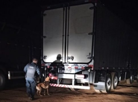 Em apreensão recorde no MS, PM intercepta R$ 4,1 milhões em cocaína
