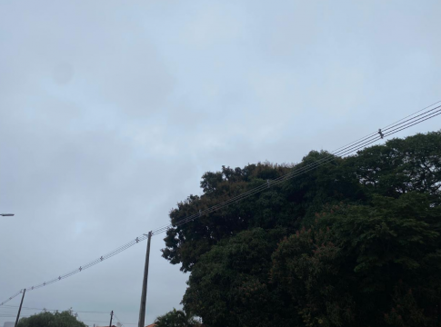 Ponta Porã registra 8ºC, temperatura mais baixa do Estado nesta 4ª