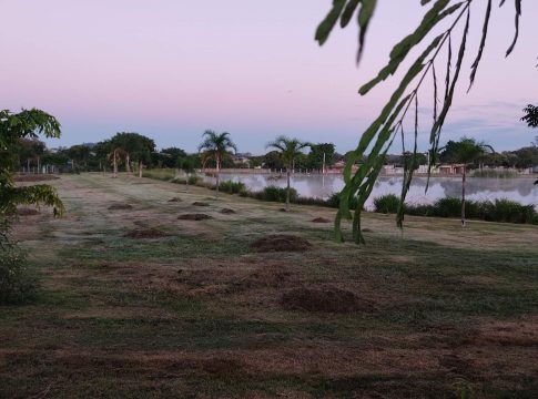 Segunda madrugada fria do inverno tem geada em 8 cidades de MS