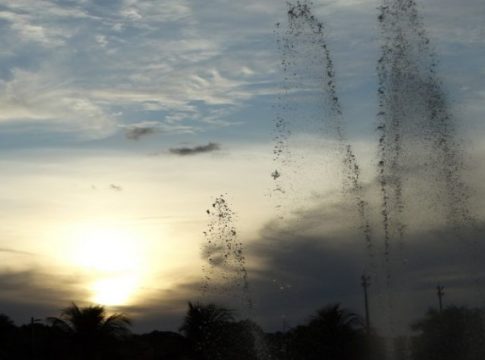 Domingo será de sol, tempo seco e temperaturas amenas