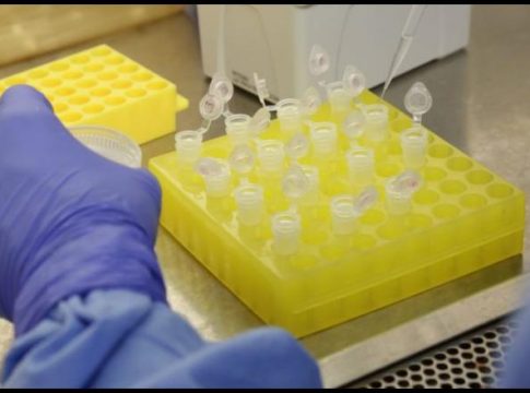 Brasil notifica 60.091 casos de covid-19 em 24h; total chega a 3.224.876