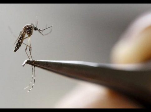 Após dois meses e meio sem vítimas, dengue volta a matar em Mato Grosso do Sul