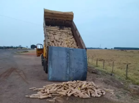 PRF apreende quase 2 toneladas de maconha em fundo falso de caminhão