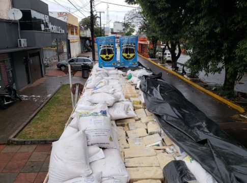 Caminhoneiro goiano é preso com maconha escondida em carga de ração