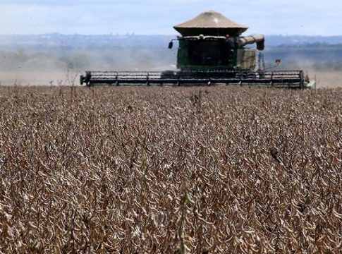 Mato Grosso do Sul tem a 5ª maior produção de grãos do país, com 19,9 milhões de toneladas