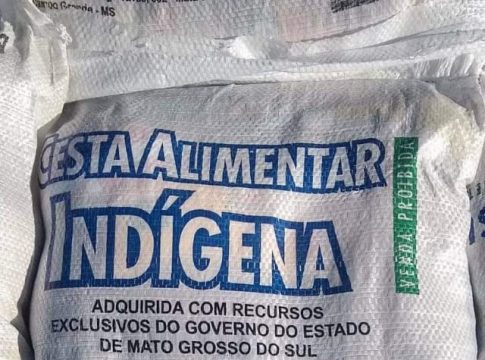Governo do Estado entrega 1.135 cestas básicas na Aldeia Porto Lindo