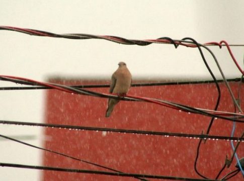 Ar seco e quente permanece nesta segunda; clima muda ao longo da semana