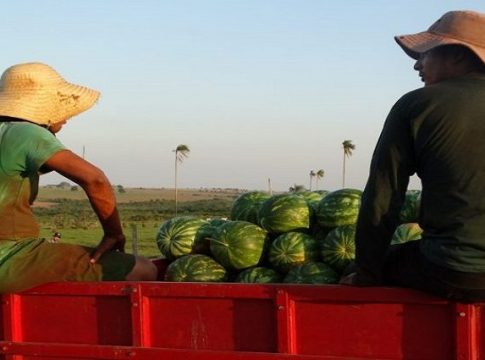 Agricultura familiar: caminhões são para conservação de estradas em mais 10 municípios