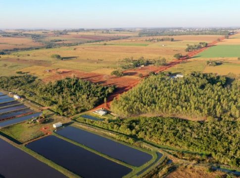 “Estrada Tricossi está 90% readequada. devemos terminar na segunda-feira”, afirma secretário de Agricultura