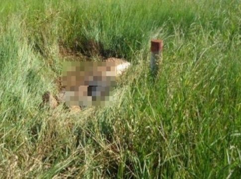 Rapaz de 20 anos é encontrado morto a tiros em estrada rural