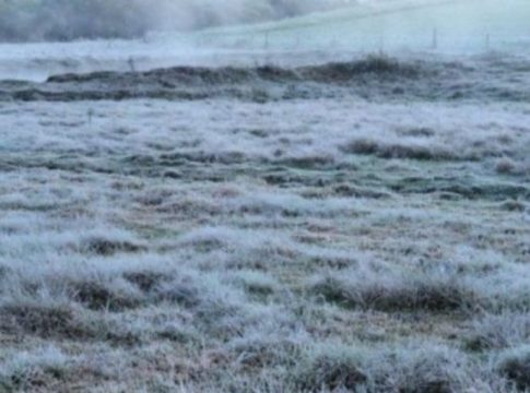 Frio de até 2°C e geada em Mato Grosso do Sul, exigem cuidados com a saúde