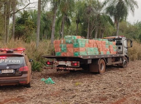 BPFron localiza depósito de cigarros em meio a mata ciliar em Guaíra