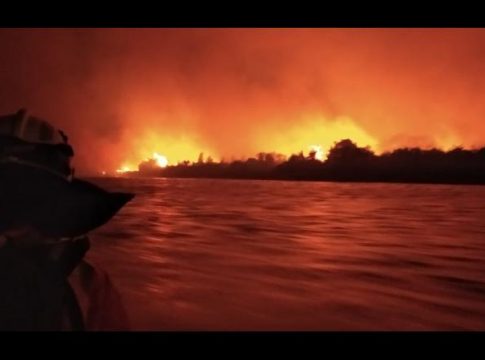 Pantanal de Mato Grosso do Sul pode demorar até 100 anos para se recuperar
