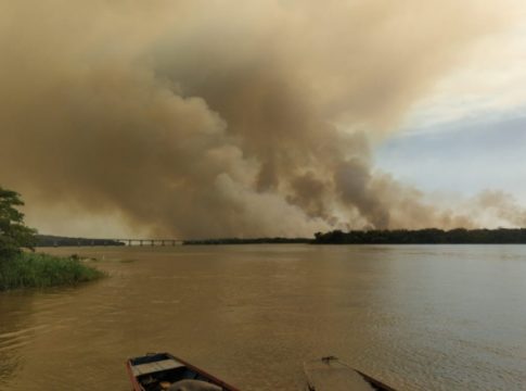 Incêndio consumiu 370 hectares de mata no Parque Nacional de Ilha Grande