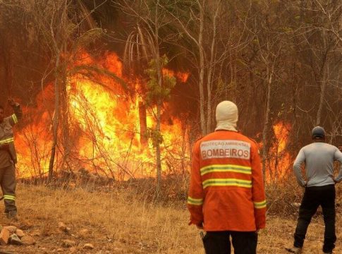 Combate a incêndios no Pantanal será reforçado por brigadistas do DF e SC