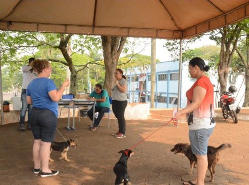 Vacinação Contra a Raiva vai desta terça a sexta-feira em Mundo Novo