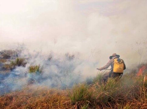 Bombeiros do Paraná vão ajudar no combate a incêndios no Pantanal