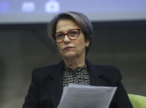 Preços do arroz voltarão a se equilibrar em janeiro, diz Tereza Cristina