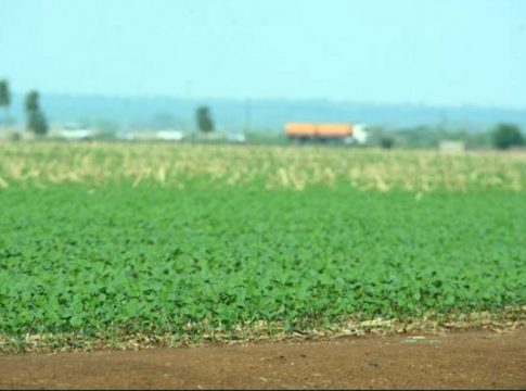 Chuva traz alívio aos produtores e plantio de soja é iniciado