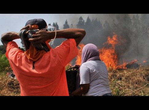 Seca pode continuar pelos próximos cinco anos em Mato Grosso do Sul