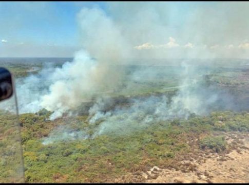 Promessa de verba faz Ibama retomar ações anti-incêndio de 1,4 mil agentes