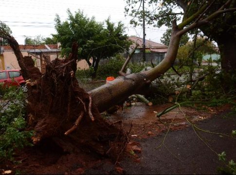 Após calor extremo no Estado, temperatura pode chegar a 13ºC no fim de semana