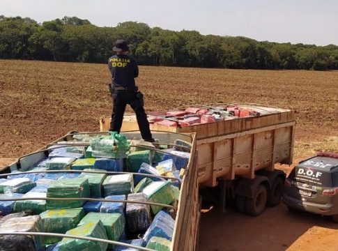 Mato Grosso do Sul é o Estado que mais apreende drogas no Brasil